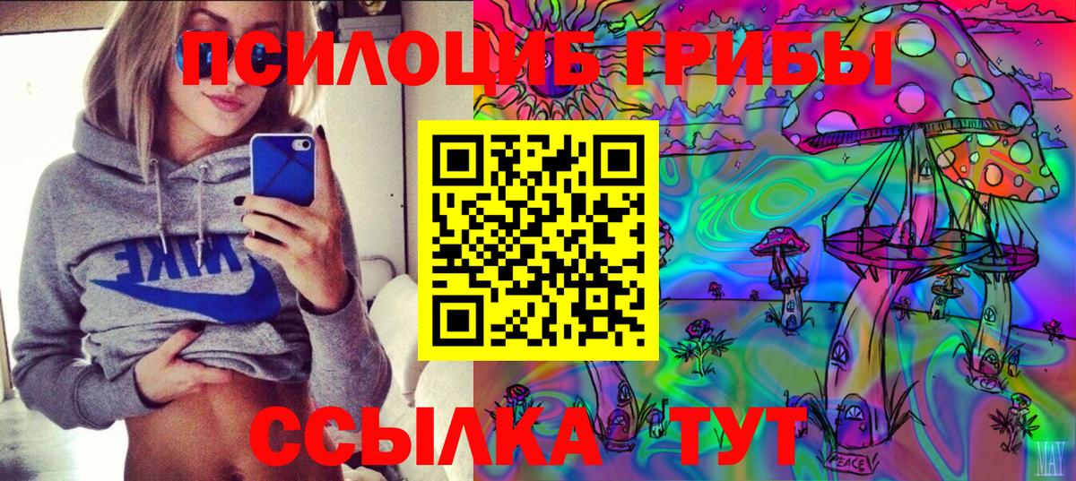 Тула  Галлюциногенные грибы Psilocybe  Вход с VPN 