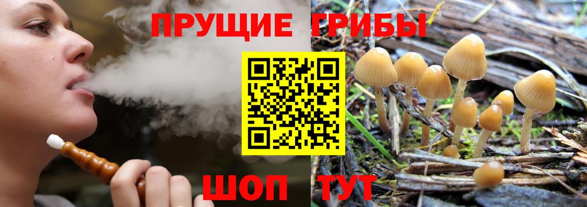 Псилоцибиновые грибы мицелий Тула